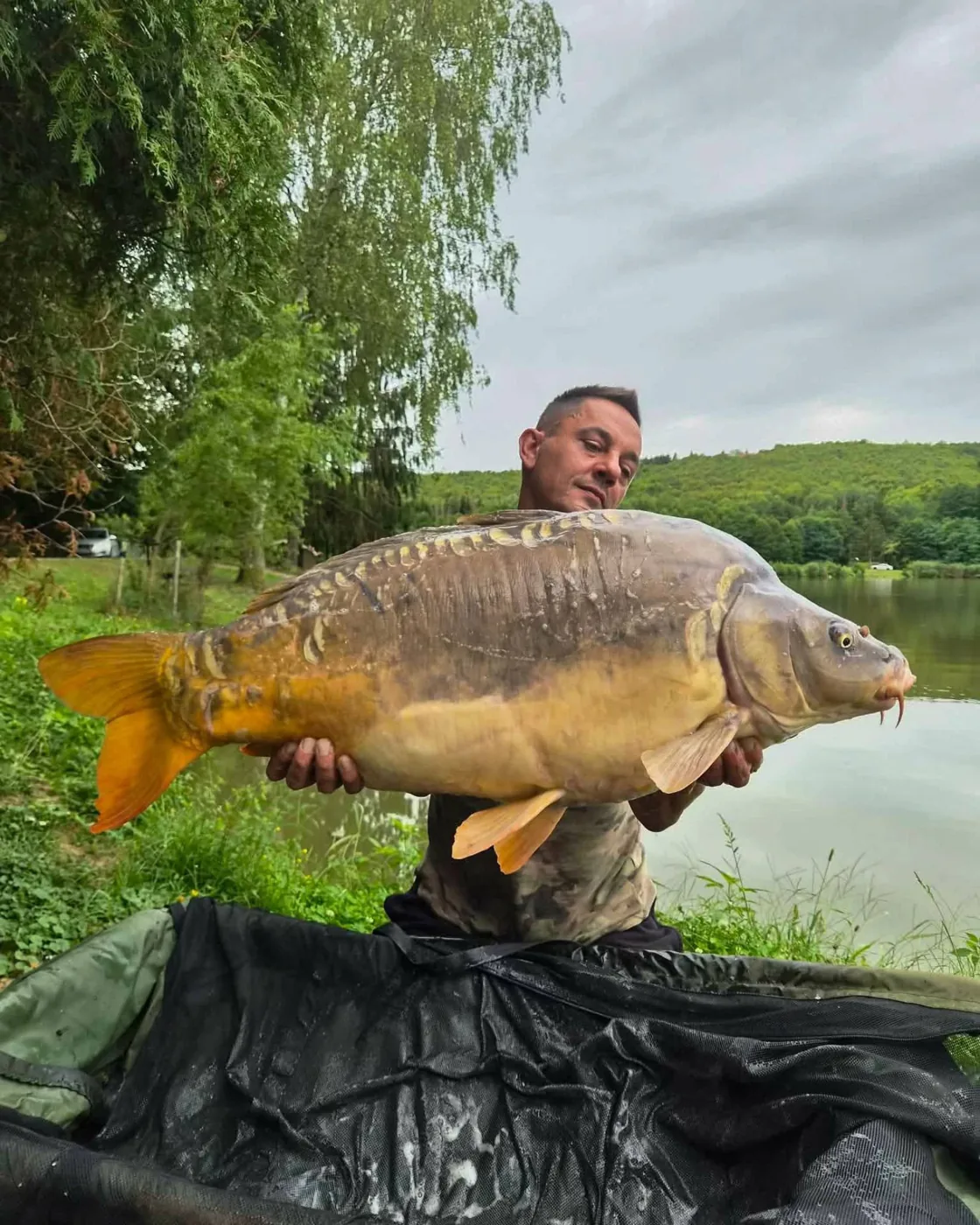 Ulov šarana — Mirror Baits