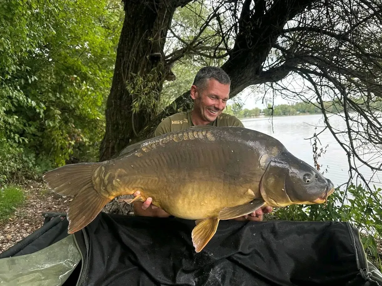 Ulov šarana — Mirror Baits