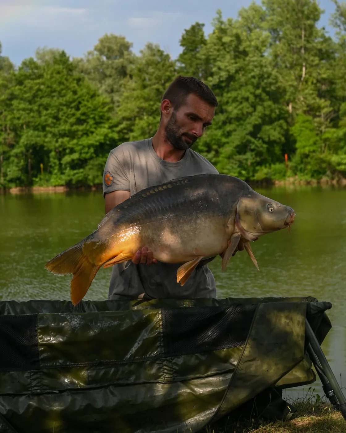 Ulov šarana — Mirror Baits