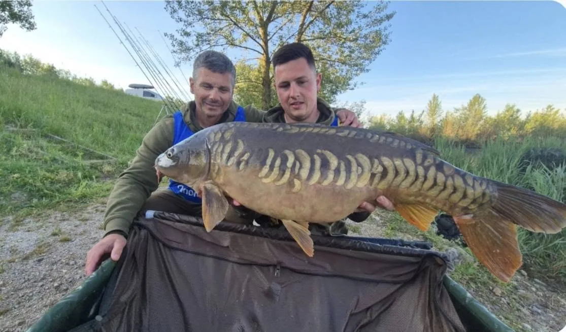 Ulov šarana — Mirror Baits