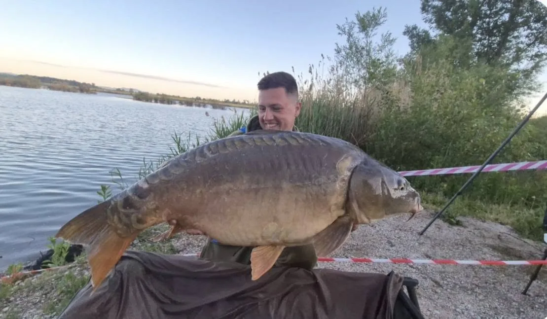 Ulov šarana — Mirror Baits