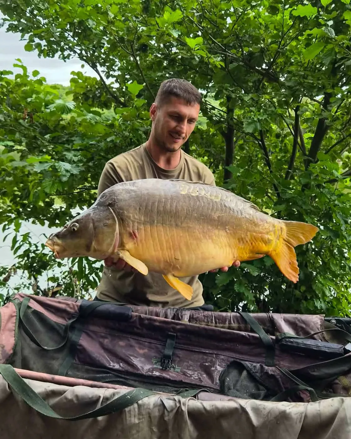 Ulov šarana — Mirror Baits
